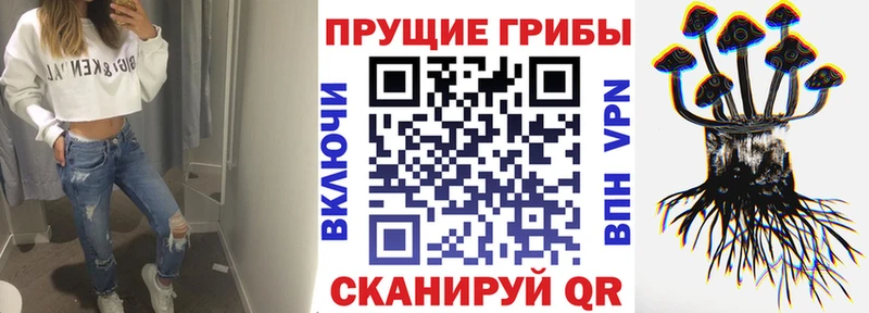 Галлюциногенные грибы прущие грибы  Южно-Сухокумск 